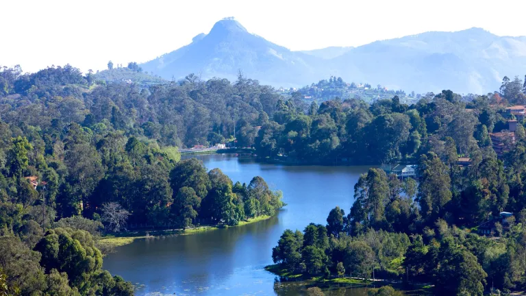 Kodaikanal 