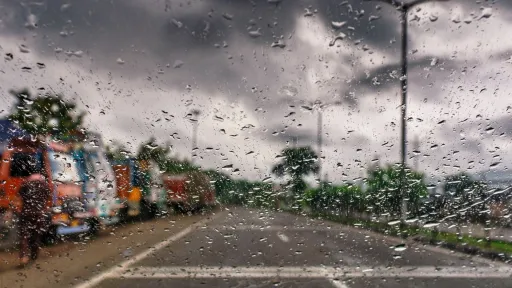 image for article 8 Road Trips from Chennai that are best experienced in Monsoon