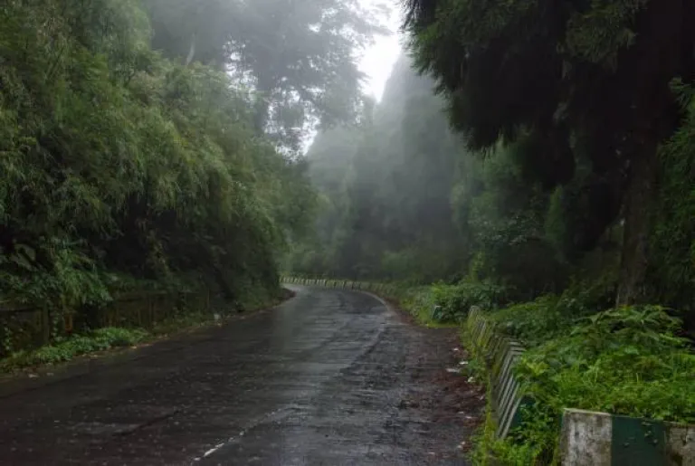 Monsoon road trip