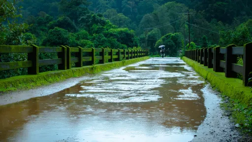 image for article 10 Best Destinations for Monsoon Road Trips