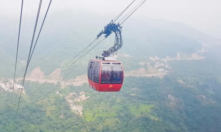 Timber Trail Kasauli