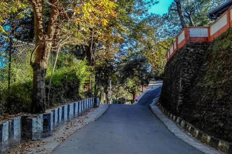 Lover&rsquo;s Lane Kasauli