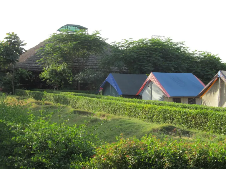 Camp Mustang delhi
