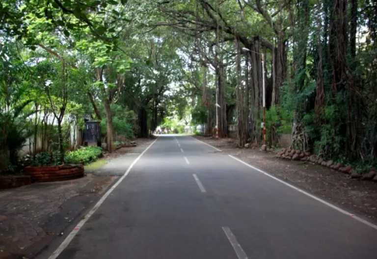 North Main Road is the heart of Koregaon Park