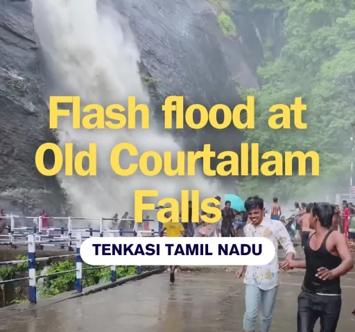 image for article Flash Flood at Courtallam Falls, Tenkasi: Are You Prepared for Monsoon Dangers?