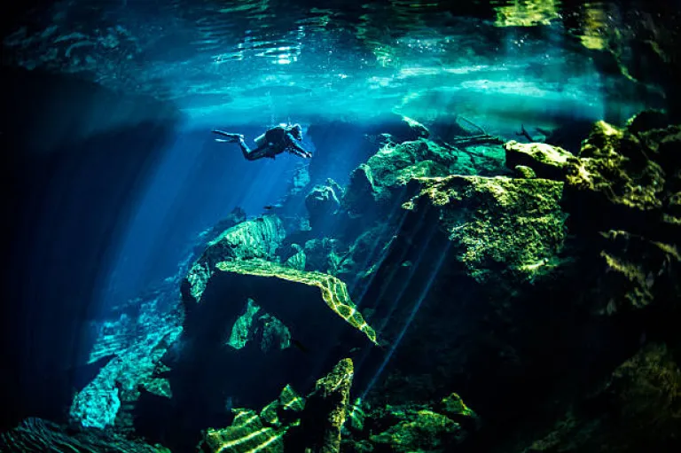 Dive into adventure on Cancun&#039;s turquoise shores!