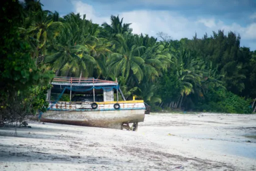 image for article Lakshadweep Islanders Fear Land Seizure Under Eco-Tourism Banner