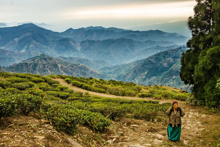 Kurseong