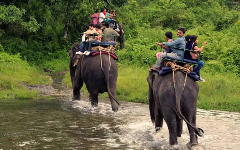 Jaldapara National Park