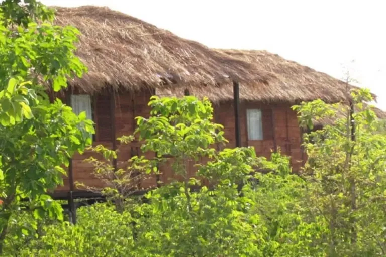 Muba&#039;s Machaan, Chhattisgarh