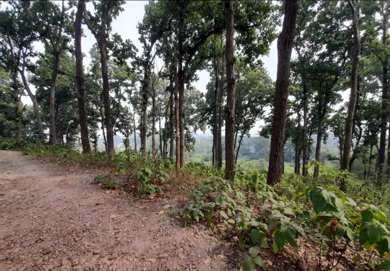 Phuldungri Hill Ghatshila