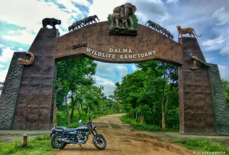 Dalma Wildlife Sanctuary jamshedpur